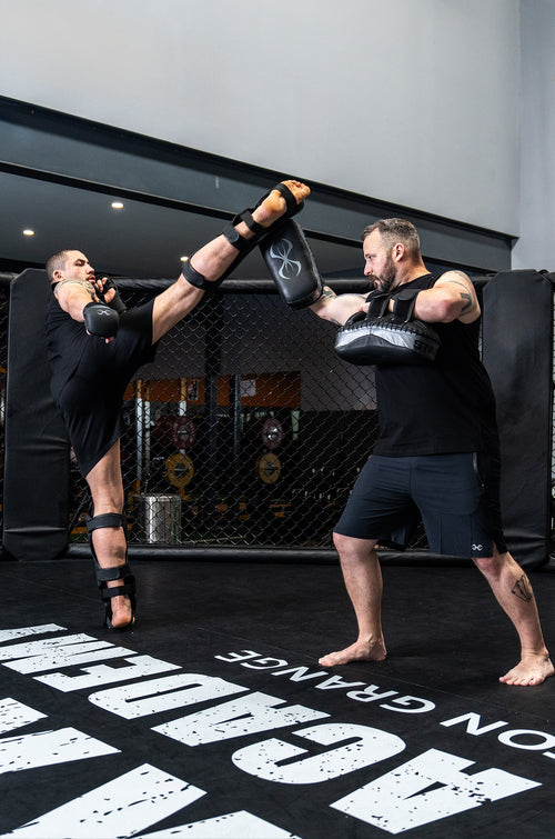 Taipan Thai Kick Pads