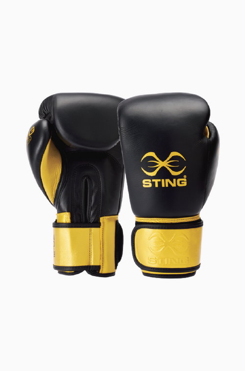Custom Evolution Boxing Gloves
