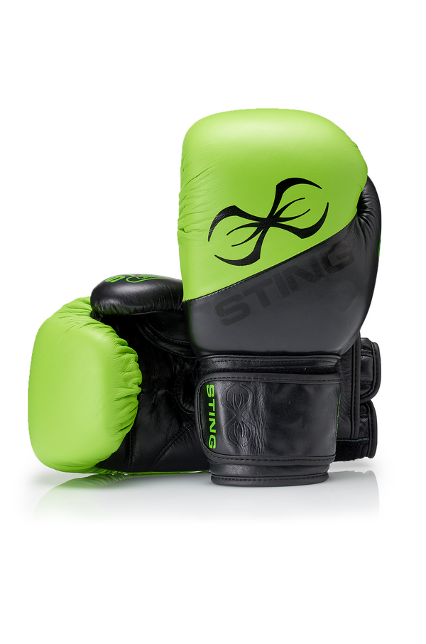 Orion Boxing Gloves