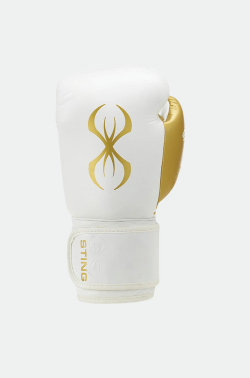 Evolution Boxing Gloves