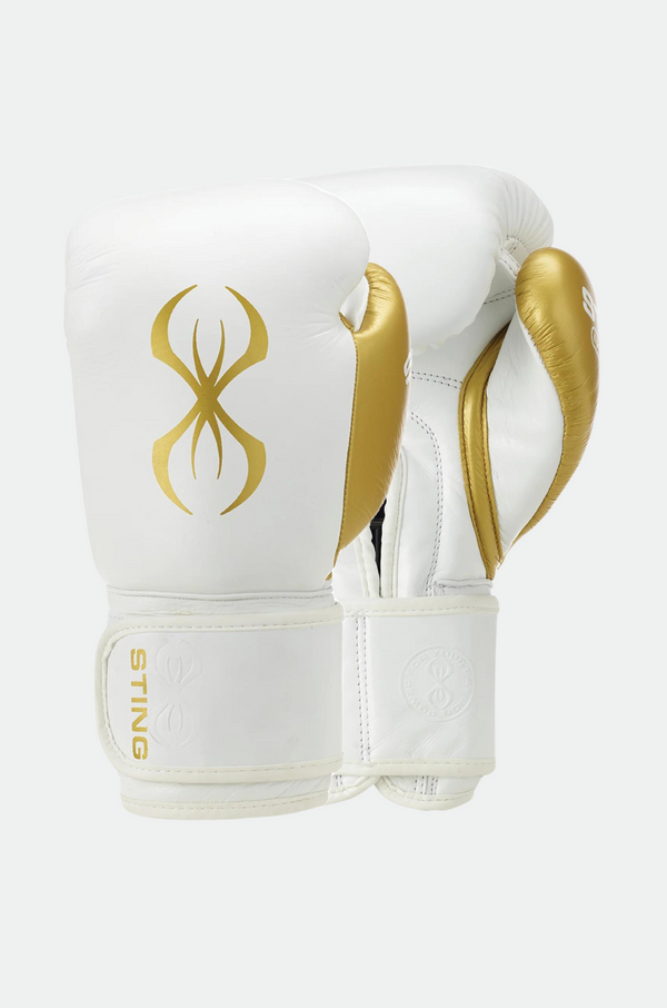 Evolution Boxing Gloves