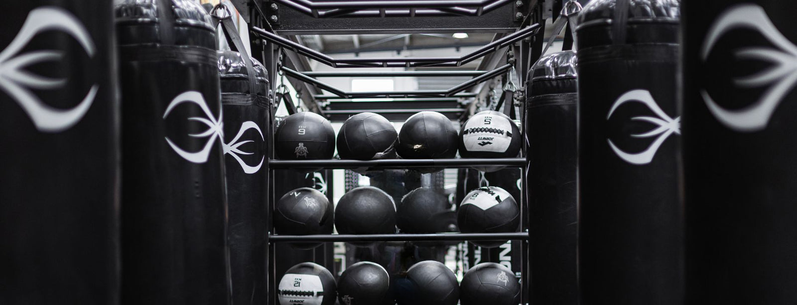 Boxing Equipment - Fitness & Activewear – STING UK