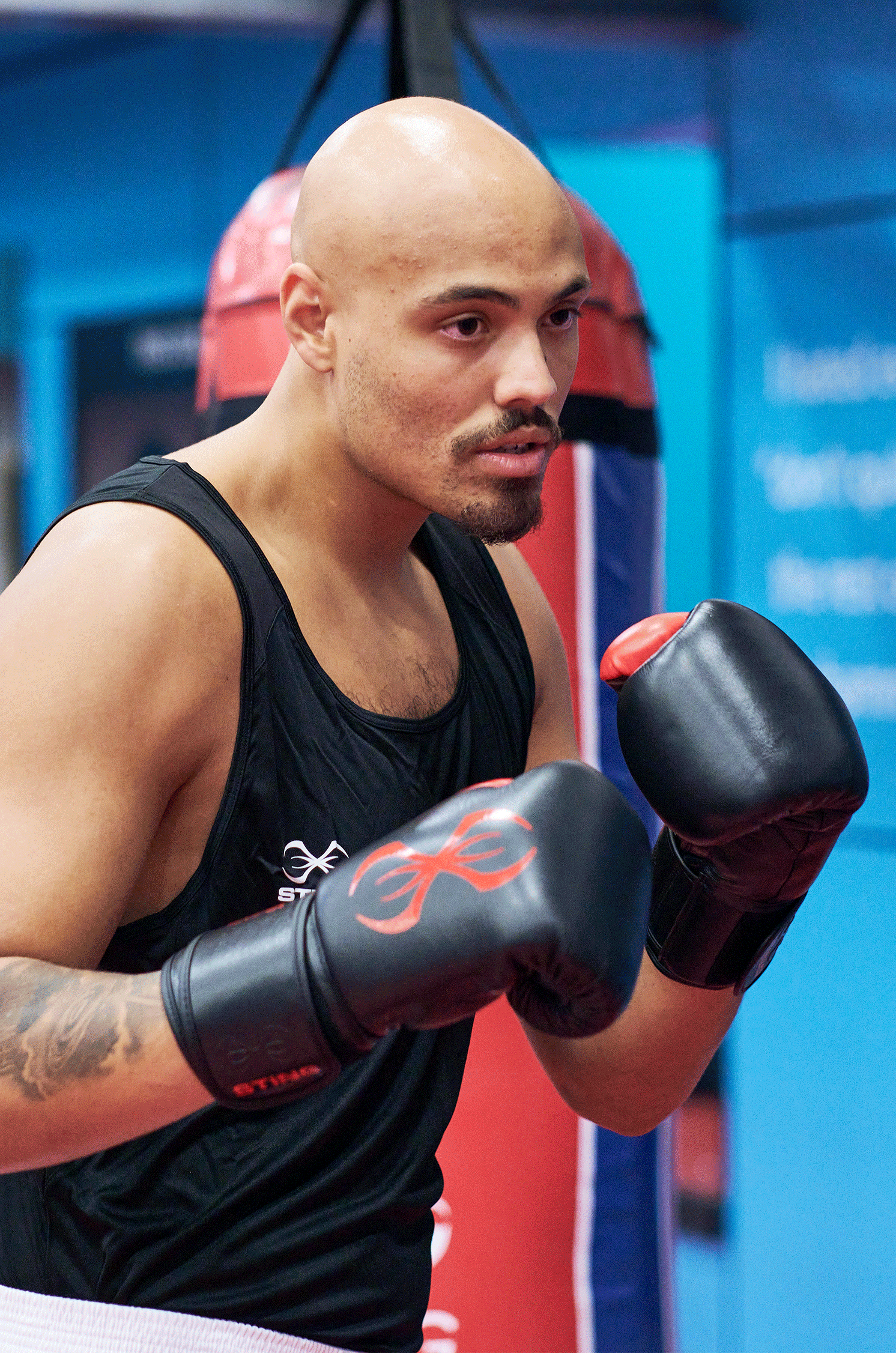 Evolution Performance Center Boxing Evolution Velcro Boxing Gloves - Black/Red – STING UK