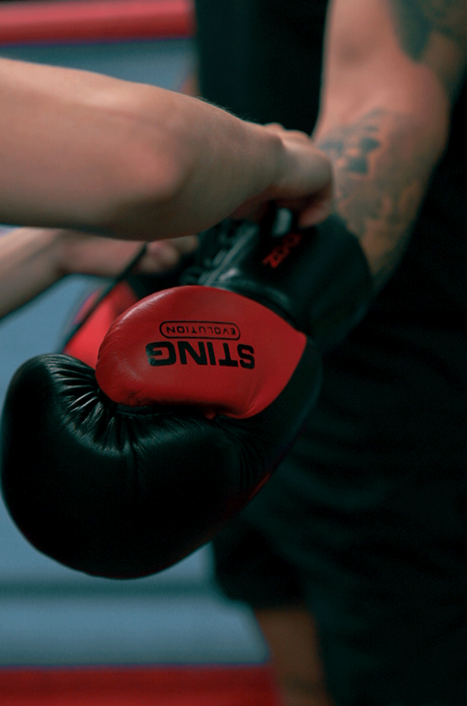 Evolution Performance Center Boxing Evolution Velcro Boxing Gloves - Black/Red – STING UK