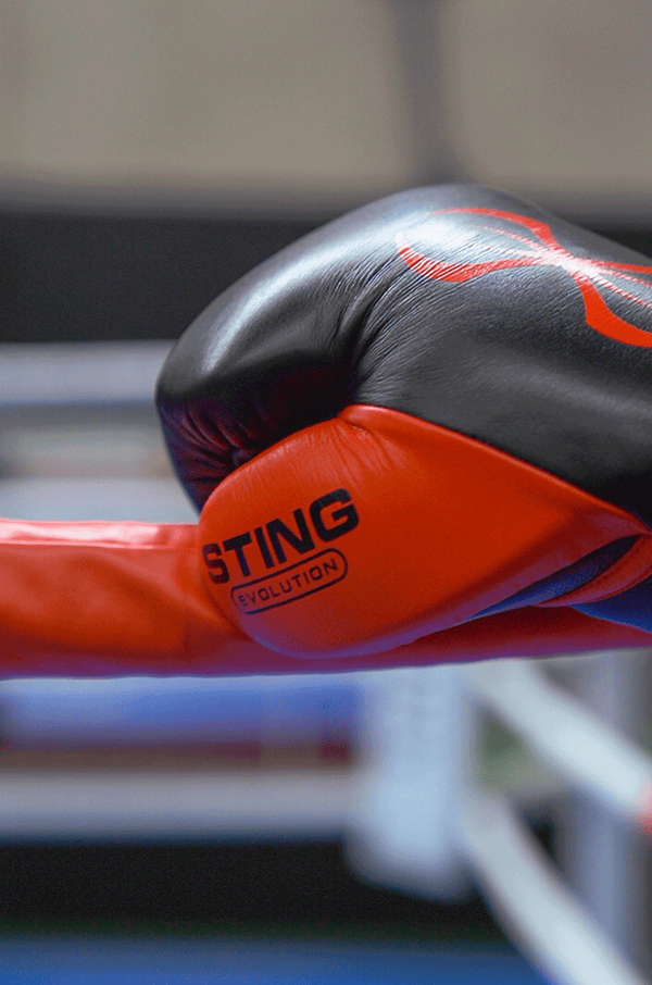 Evolution Boxing Gloves - Velcro